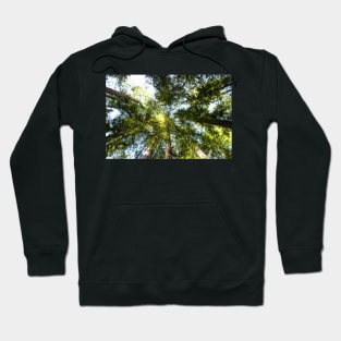 A view with a View Take Two Hoodie